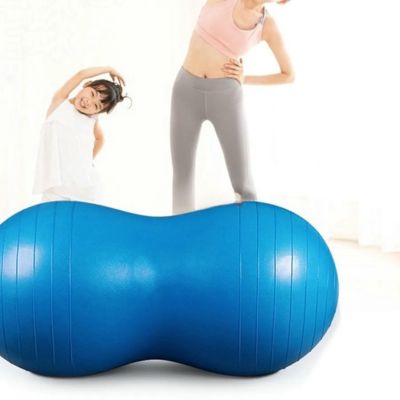 Ballon de Gym Cacahouète -PeanutFit™ - Bleu